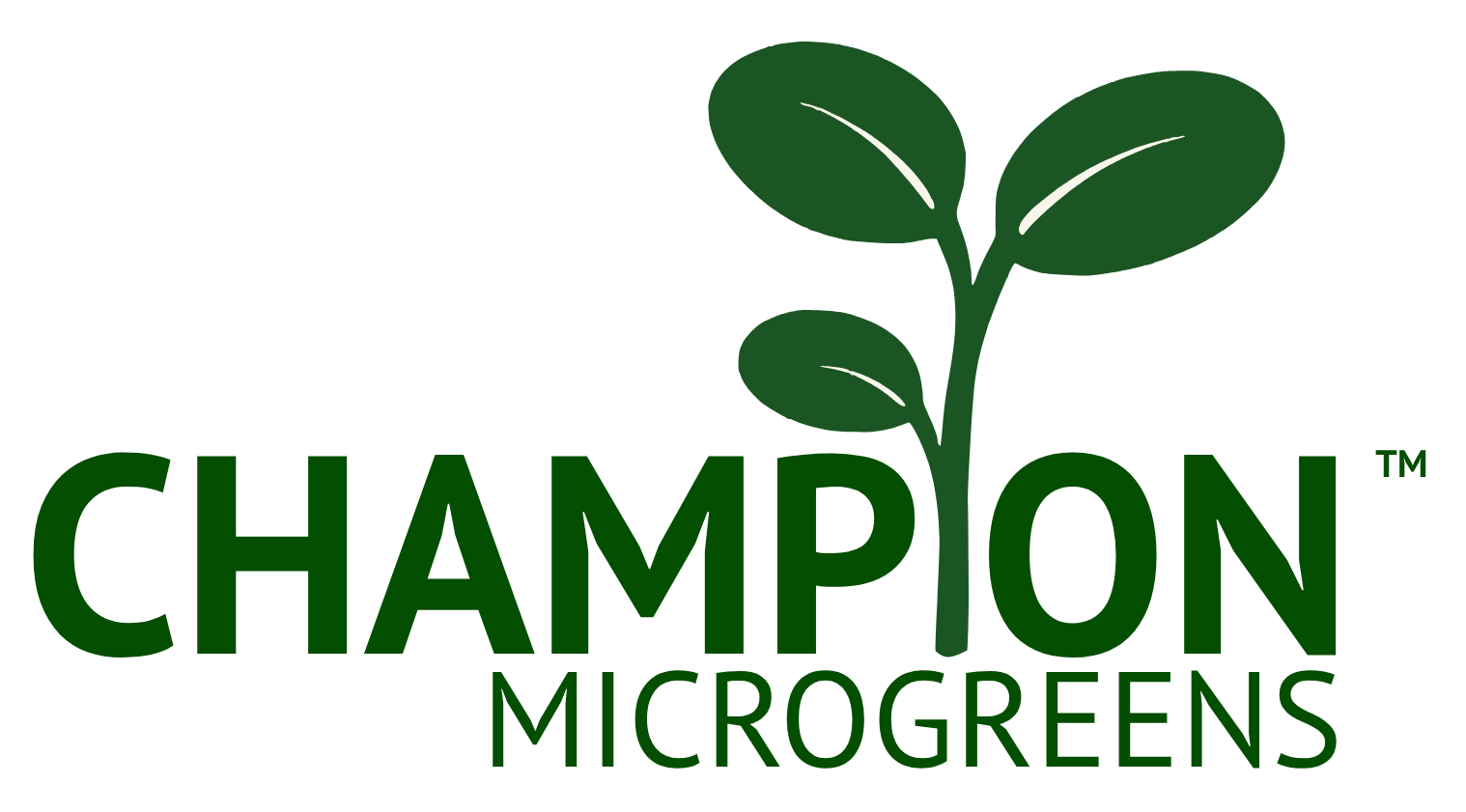 Champion Microgreens - Hemp Microgreens